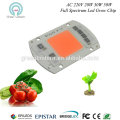 AC 220V Driveless 380nm-840nm 30W 40W 50W Cob Led chip For COB Grow Light